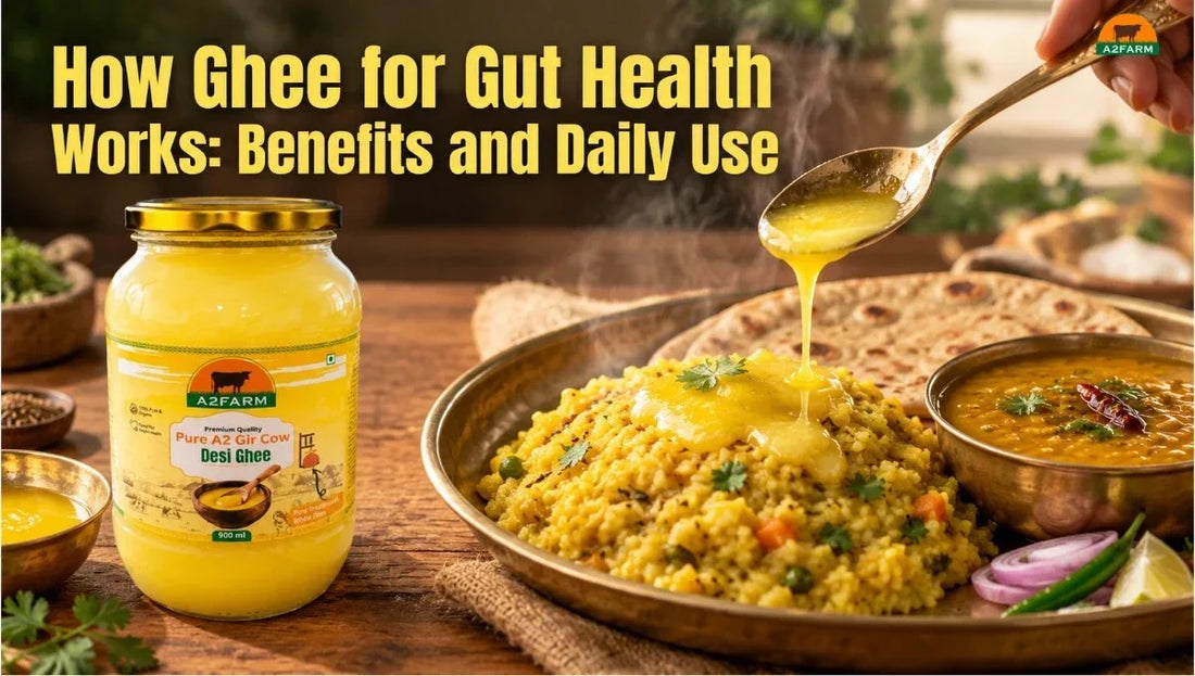 How Ghee for Gut Health Works: Benefits and Daily Use